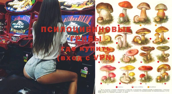 МДПВ Липки