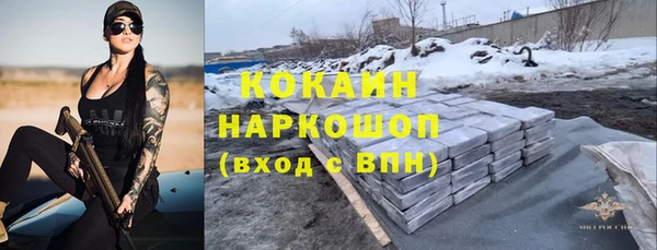 молекула духа Лихославль