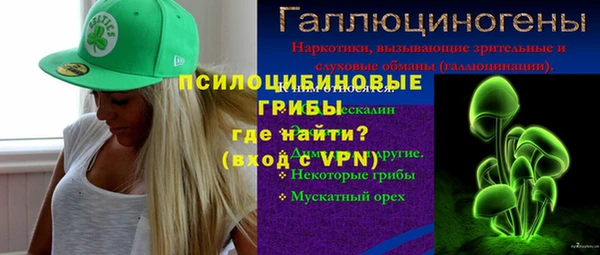 молекула духа Лагань